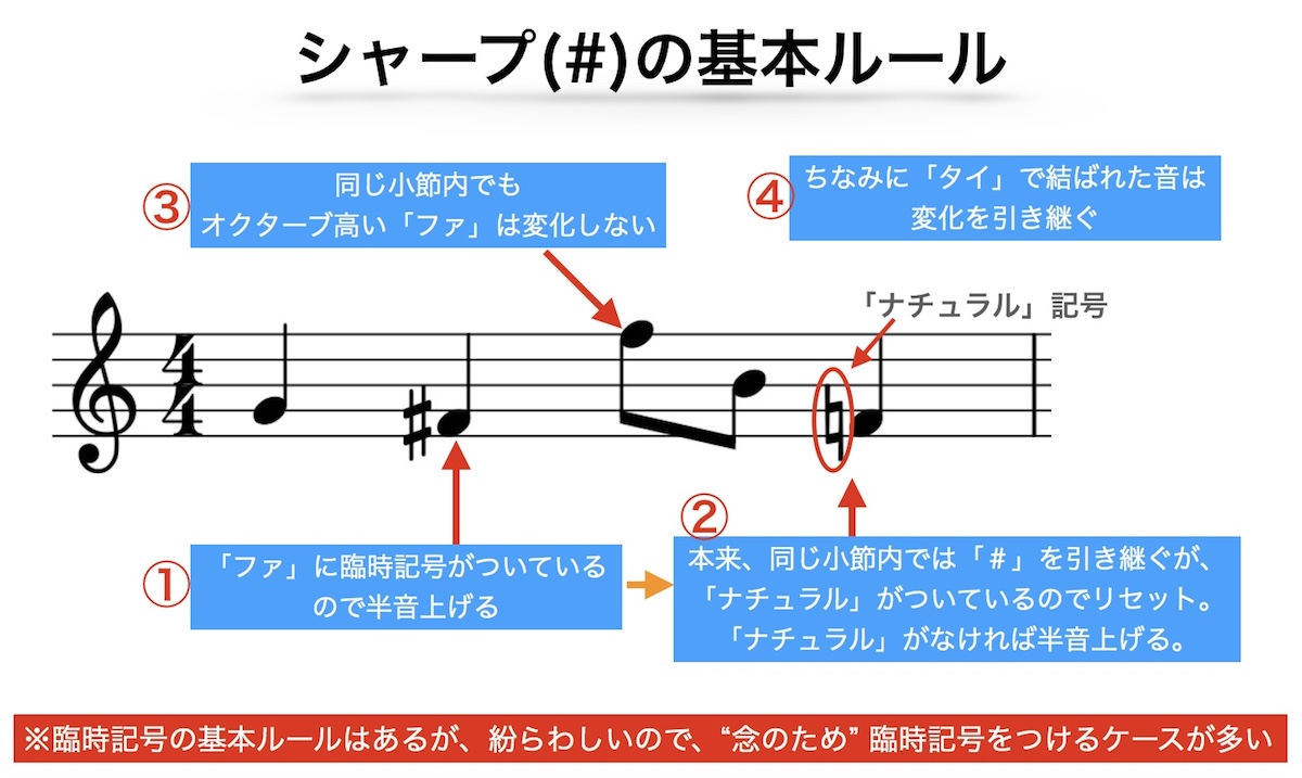 遠藤舞 富托